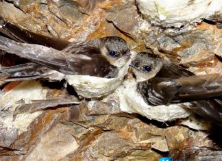 TOUR Du lịch Hè Quy Nhơn trọn gói uy tín 2022