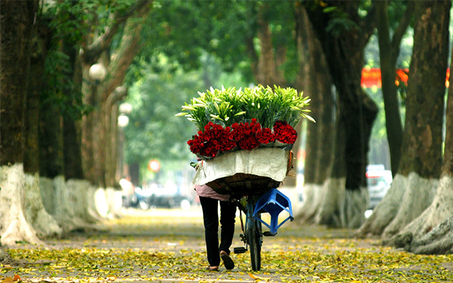 Tham khảo kinh nghiệm du lịch Hà Nội mùa thu với những điều đặc biệt