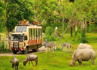 Trọn bộ kinh nghiệm đi Vinpearl Safari cho khách du lịch Phú Quốc 2023