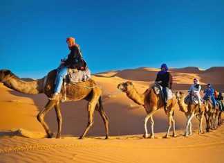 Khám phá top 22 địa điểm du lịch Dubai nổi tiếng không thể bỏ lỡ Khám phá top 22 địa điểm du lịch Dubai nổi tiếng không thể bỏ lỡ