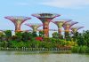 Du lich Singapore